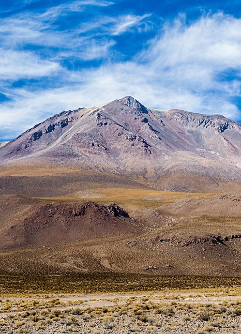 Secretaria que representa la presentación de la empresa, con naturaleza, idiomas y diversión
